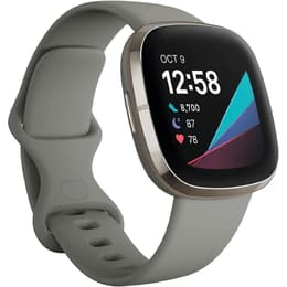 Kellot Fitbit Cardio GPS Sense - Harmaa