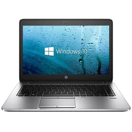 Hp EliteBook 725 G2 12" A8 1.9 GHz - SSD 240 GB - 8GB QWERTZ - Saksa